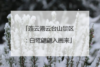 连云港云台山景区：白鹭翩翩入画来