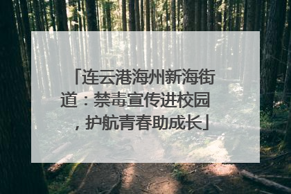 连云港海州新海街道：禁毒宣传进校园，护航青春助成长