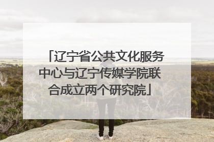 辽宁省公共文化服务中心与辽宁传媒学院联合成立两个研究院