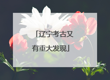 辽宁考古又有重大发现