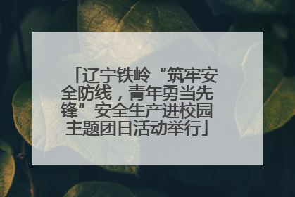 辽宁铁岭“筑牢安全防线，青年勇当先锋”安全生产进校园主题团日活动举行