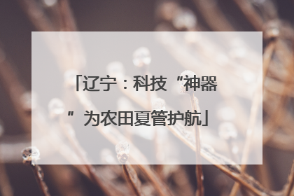 辽宁：科技“神器”为农田夏管护航