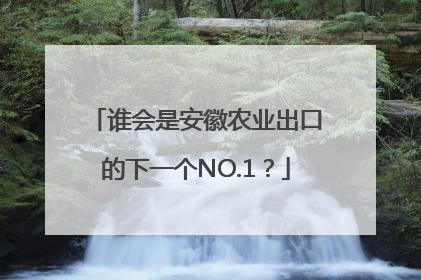 谁会是安徽农业出口的下一个NO.1？