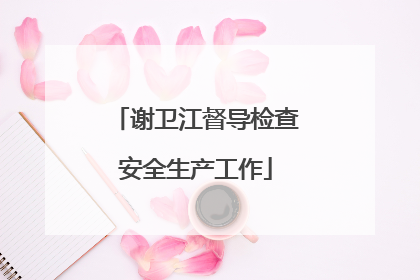 谢卫江督导检查安全生产工作