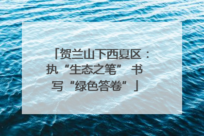贺兰山下西夏区：执“生态之笔” 书写“绿色答卷”