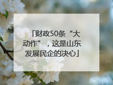财政50条“大动作”，这是山东发展民企的决心