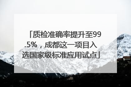 质检准确率提升至99.5%，成都这一项目入选国家级标准应用试点