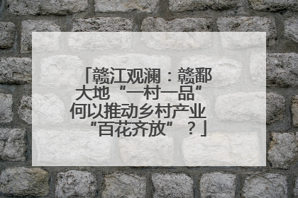 赣江观澜：赣鄱大地“一村一品”何以推动乡村产业“百花齐放”？