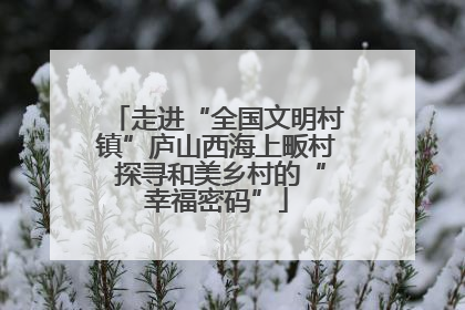 走进“全国文明村镇”庐山西海上畈村 探寻和美乡村的“幸福密码”