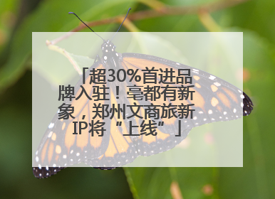 超30%首进品牌入驻！亳都有新象，郑州文商旅新IP将“上线”