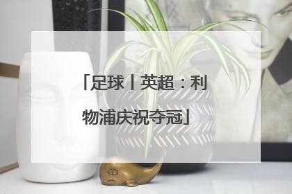 足球丨英超：利物浦庆祝夺冠