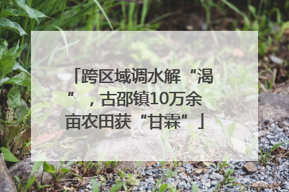 跨区域调水解“渴”，古邵镇10万余亩农田获“甘霖”