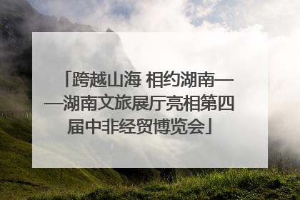 跨越山海 相约湖南——湖南文旅展厅亮相第四届中非经贸博览会
