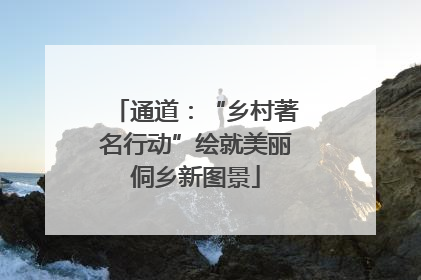 通道：“乡村著名行动”绘就美丽侗乡新图景