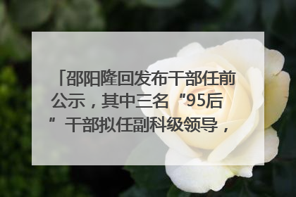 邵阳隆回发布干部任前公示，其中三名“95后”干部拟任副科级领导，均系硕士选调生