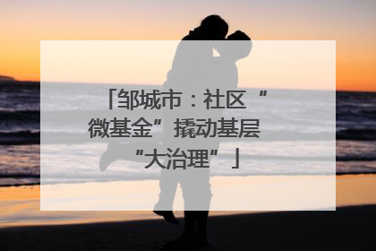 邹城市：社区“微基金”撬动基层“大治理”