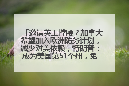 邀请英王撑腰？加拿大希望加入欧洲防务计划，减少对美依赖，特朗普：成为美国第51个州，免费用“金穹”