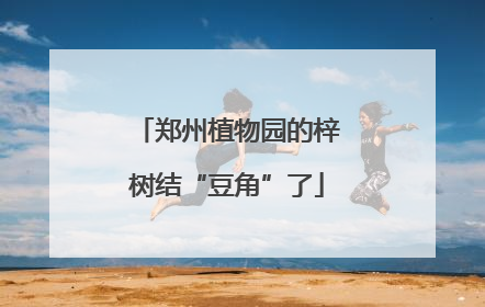 郑州植物园的梓树结“豆角”了