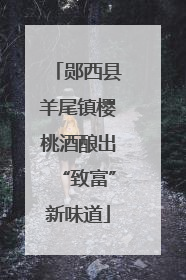 郧西县羊尾镇樱桃酒酿出“致富”新味道