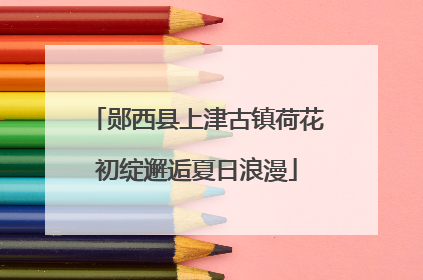 郧西县上津古镇荷花初绽邂逅夏日浪漫