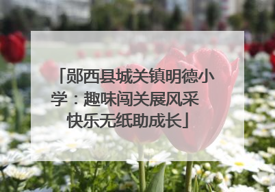 郧西县城关镇明德小学：趣味闯关展风采 快乐无纸助成长