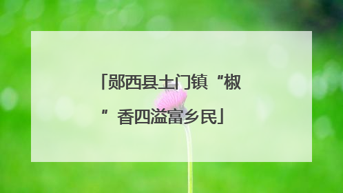 郧西县土门镇“椒”香四溢富乡民