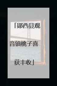 郧西县观音镇桃子喜获丰收