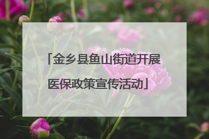 金乡县鱼山街道开展医保政策宣传活动