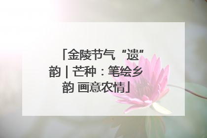 金陵节气“遗”韵｜芒种：笔绘乡韵 画意农情