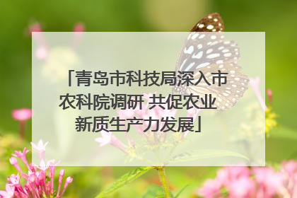 青岛市科技局深入市农科院调研 共促农业新质生产力发展