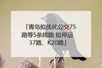 青岛拟优化公交75路等5条线路 拟停运37路、K20路