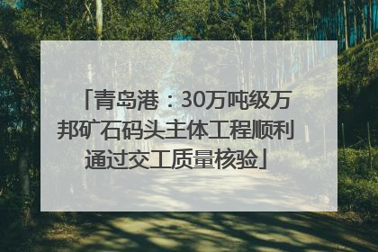 青岛港：30万吨级万邦矿石码头主体工程顺利通过交工质量核验