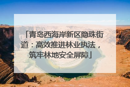 青岛西海岸新区隐珠街道：高效推进林业执法，筑牢林地安全屏障