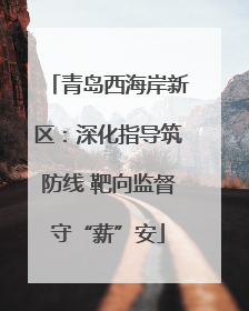 青岛西海岸新区：深化指导筑防线 靶向监督守“薪”安