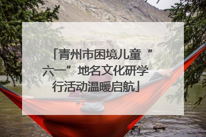 青州市困境儿童“六一”地名文化研学行活动温暖启航