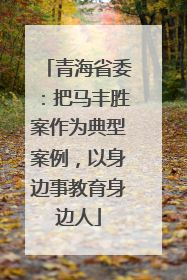 青海省委：把马丰胜案作为典型案例，以身边事教育身边人