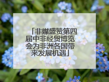 非媒盛赞第四届中非经贸博览会为非洲各国带来发展机遇