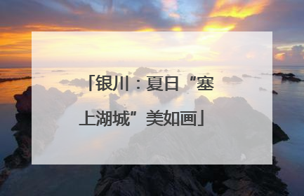 银川：夏日“塞上湖城”美如画