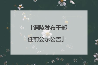 铜陵发布干部任前公示公告