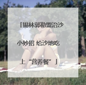 锡林郭勒盟治沙小妙招 给沙地吃上“营养餐”