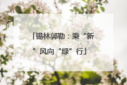锡林郭勒：乘“新”风向“绿”行
