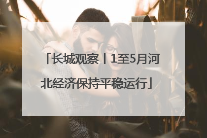 长城观察丨1至5月河北经济保持平稳运行