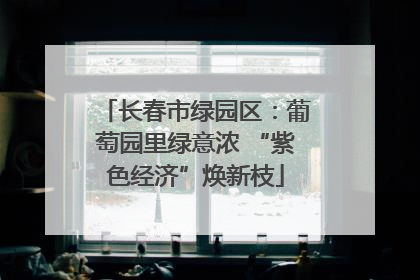 长春市绿园区：葡萄园里绿意浓 “紫色经济”焕新枝