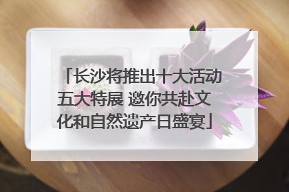 长沙将推出十大活动五大特展 邀你共赴文化和自然遗产日盛宴