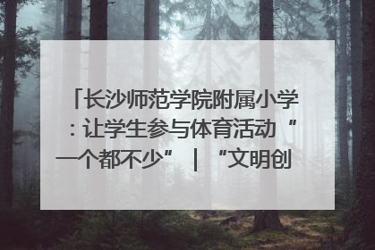 长沙师范学院附属小学：让学生参与体育活动“一个都不少”｜“文明创建耀三湘”专栏