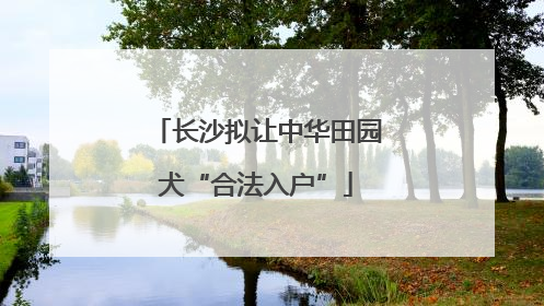 长沙拟让中华田园犬“合法入户”