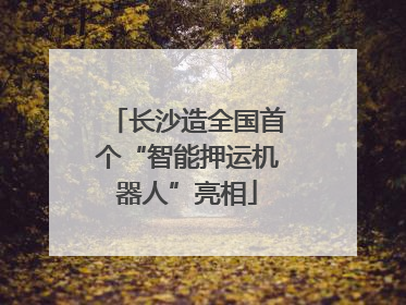 长沙造全国首个“智能押运机器人”亮相