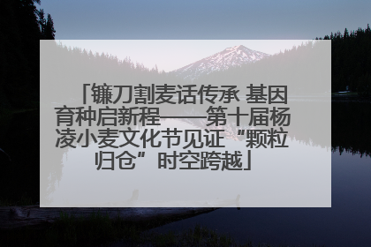 镰刀割麦话传承 基因育种启新程——第十届杨凌小麦文化节见证“颗粒归仓”时空跨越