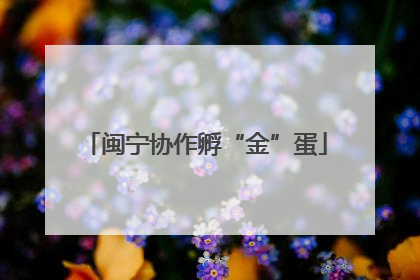 闽宁协作孵“金”蛋