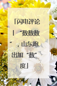 闪电评论丨“数数数”，山东跑出加“数”度